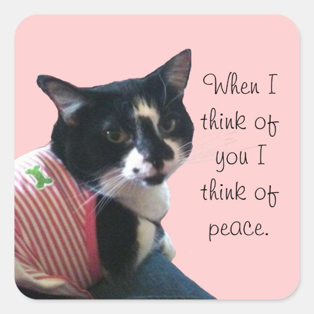 Cute Tuxedo Cat Think of Peace Custom Stickers (Front)