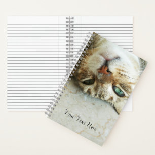 Cute Upside Down Tabby Cat Personalized Notebook