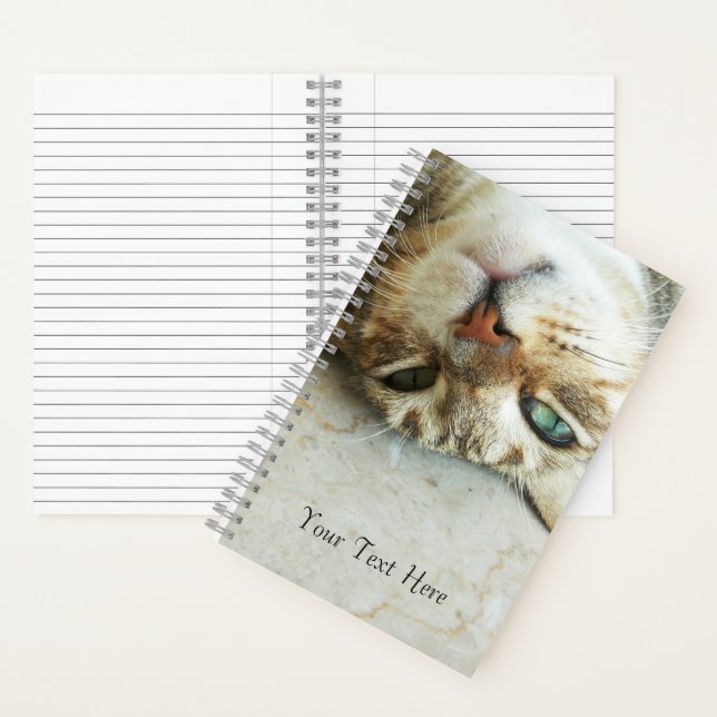 Cute Upside Down Tabby Cat Personalized Notebook (Inside)