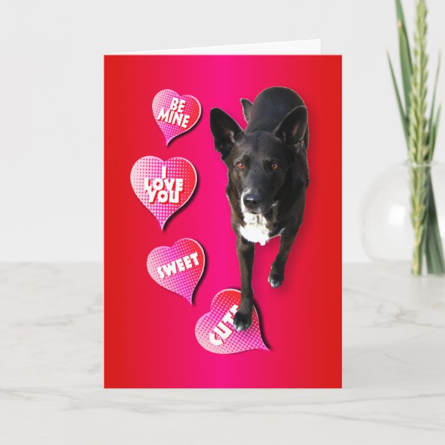 Cute Valentine Dog Card (Front)