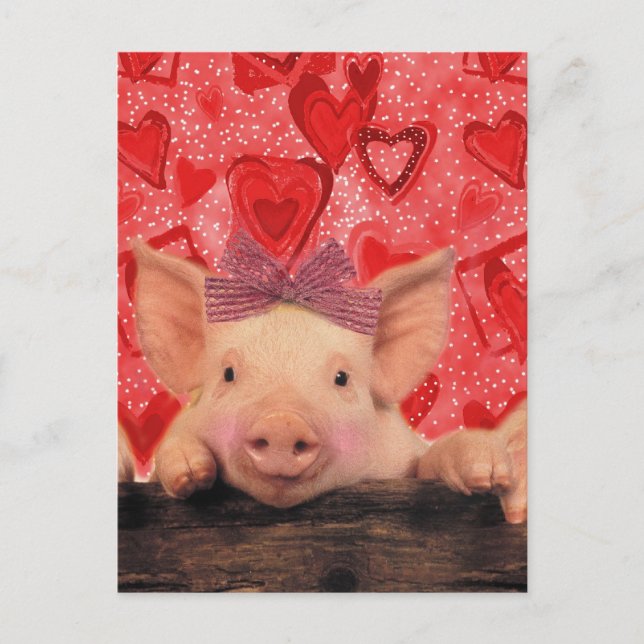 Cute Valentine Holiday Postcard (Front)