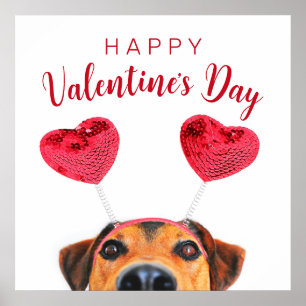 Cute Valentine's Day Dog Funny Heart Headband Poster