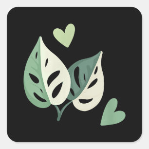 Cute Variegated Monstera Adansonii  Swiss Cheese Square Sticker