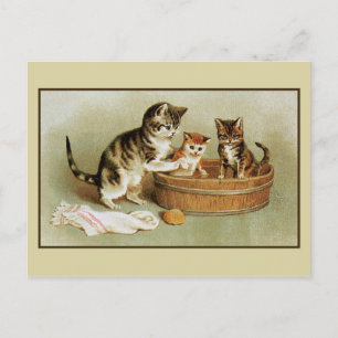 Cute Victorian cat bathing kittens in bath tub Postcard