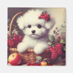 Cute Vintage Bichon Frisé Painting Magnet