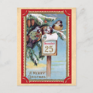 Cute Vintage Birds Merry Christmas Postcard