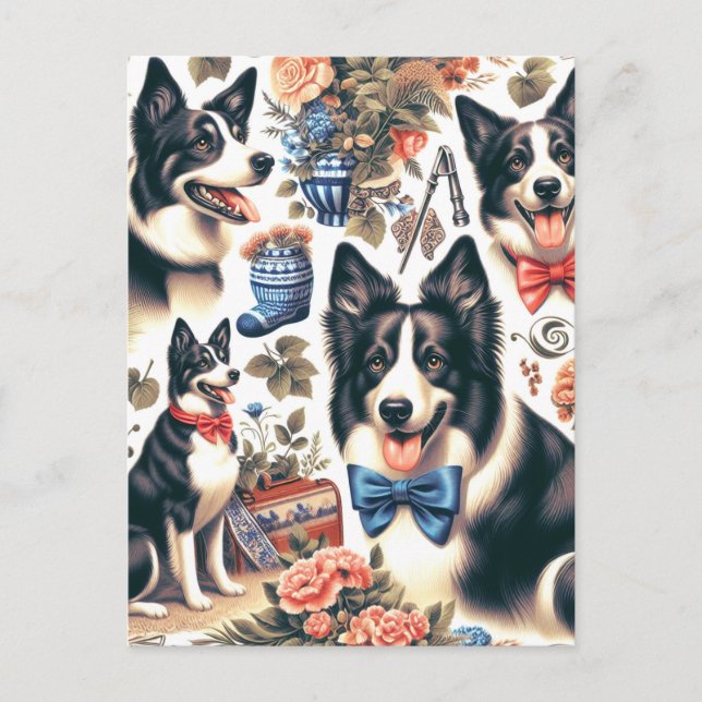 Cute Vintage Border Collie Illustration Postcard (Front)