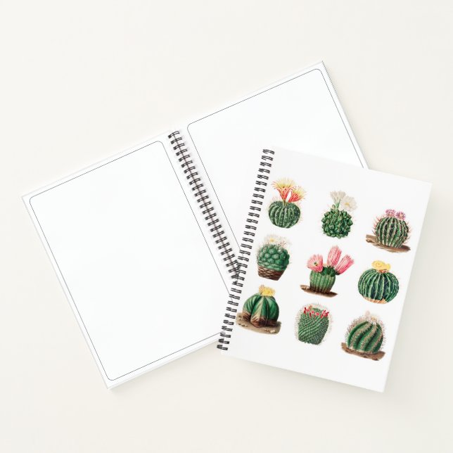 Cute Vintage Cacti Succulents Sketchbook Notebook (Inside)