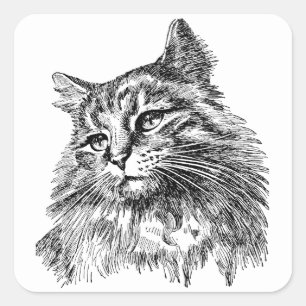 Cute vintage Cat black white Square Sticker