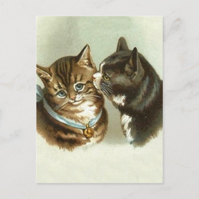 Cute Vintage Cats Postcard (Front)