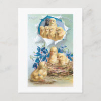 Cute Vintage Chicks, Flowers & Easter Greeting