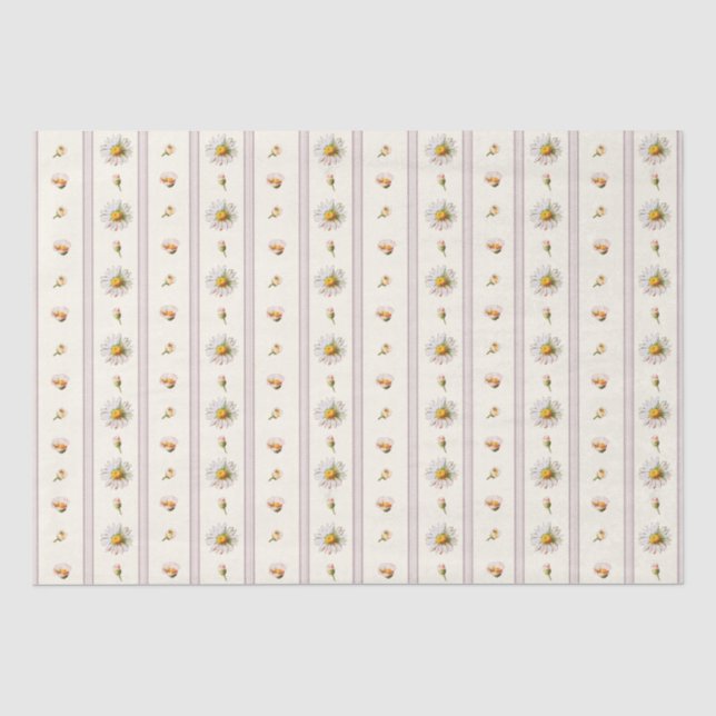 Cute Vintage Daisy Stripes Cream White Tissue Paper (Front)