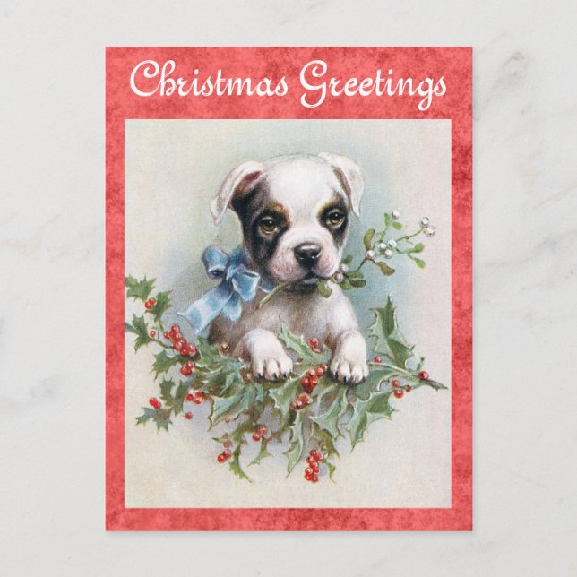 Cute Vintage Dog Christmas Greetings Postcard (Front)