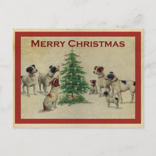 Cute Vintage Dog Merry Christmas Postcard
