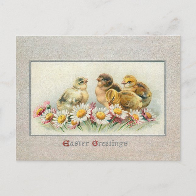 Cute Vintage Easter Chicks and Daisies Holiday Postcard (Front)