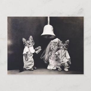 Cute Vintage Funny Kitten Couple Wedding Ceremony Postcard