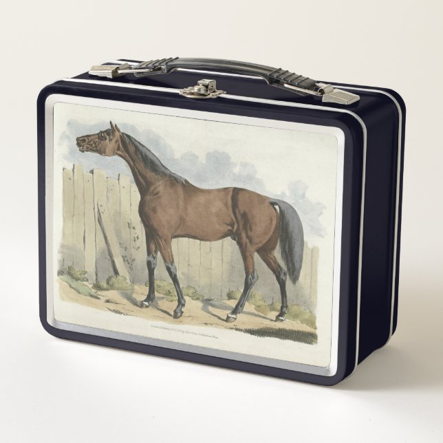 cute vintage horse lovers  metal lunch box (Front)