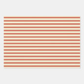 Cute Vintage Red and White Striped Pattern Wrapping Paper Sheet (Front 3)