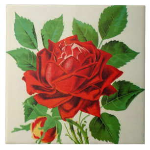 cute vintage red rose decor tile