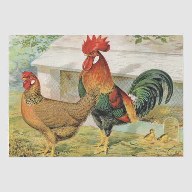 Cute vintage Rooster and hen party Tissue Paper (Front)