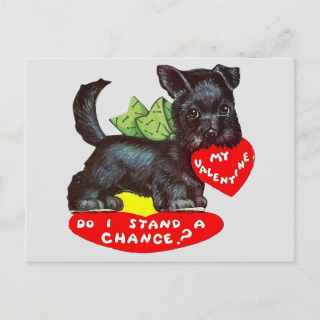 Cute Vintage Scottie Dog Valentine Postcard (Front)