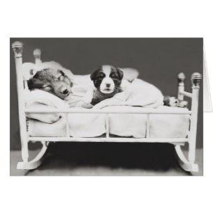 Cute Vintage Sleeping Dog and Puppy Card