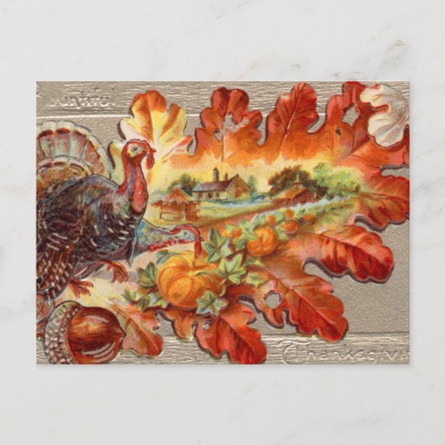 Cute Vintage Turkey Fall Thanksgiving Postcard (Front)