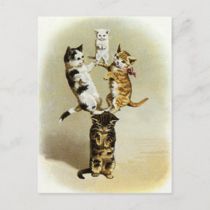 Cute Vintage Victorian Cats Kittens Playing, Humou Postcard