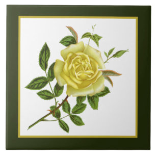 cute vintage yellow rose decor tile