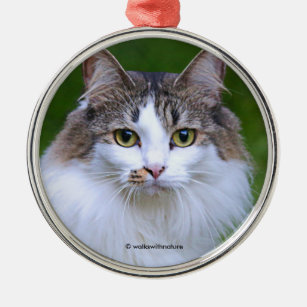 Cute Visiting Long-Haired Calico Cat in the Garden Metal Ornament