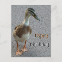 Cute Walking Duck Cust. Happy Birthday Postcard