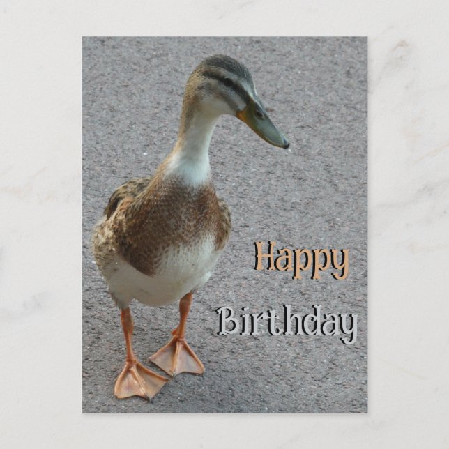 Cute Walking Duck Cust. Happy Birthday Postcard (Front)
