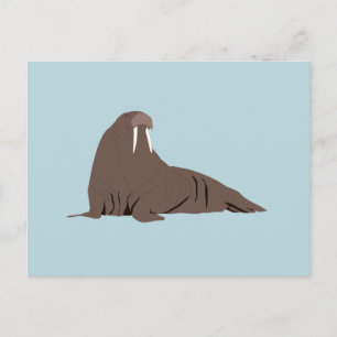 Cute Walrus Illustration  Holiday Postcard
