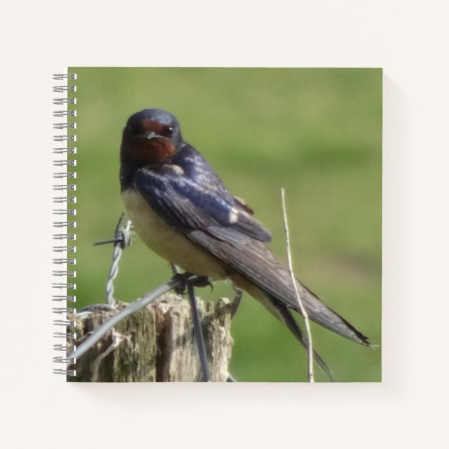 Cute Watching Barn Swallow Birdwatching Notebook (Front)