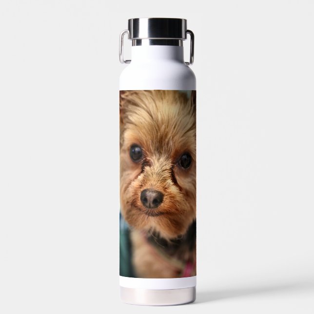 Cute  water bottle (Front)