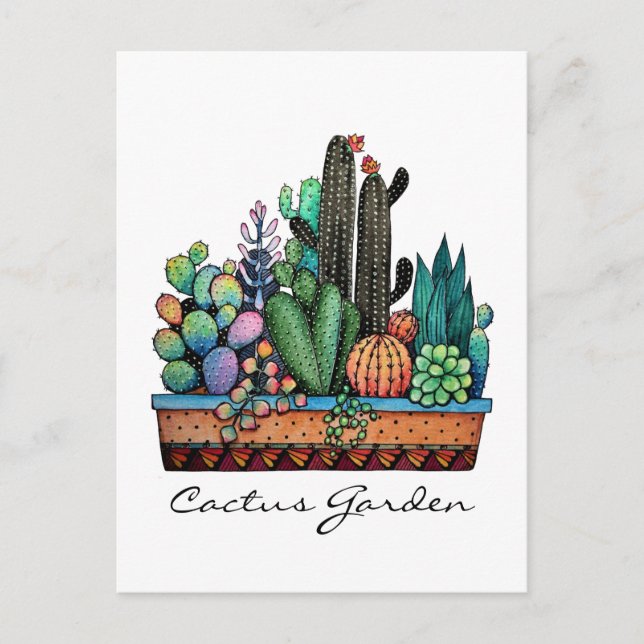 Cute Watercolor Cactus Garden In Beautiful Pot Postcard (Front)