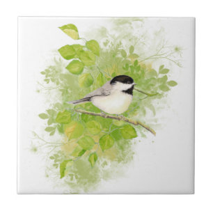 Cute Watercolor Chickadee Bird in Poplar Tree Tile