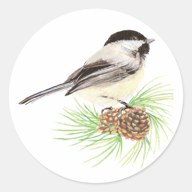 Cute Watercolor Chickadee Bird Pine Tree Classic Round Sticker (Front)