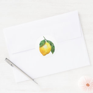 Cute Watercolor Lemon Classic Round Sticker