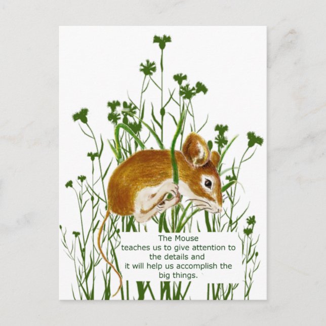 Cute Watercolor Mouse Animal Totem Spirit Guide Postcard (Front)