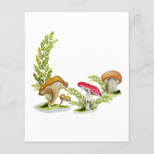 Cute watercolor mushroom pattern  coffee mug card 