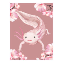 Cute Watercolor Pink Axolotl Poster