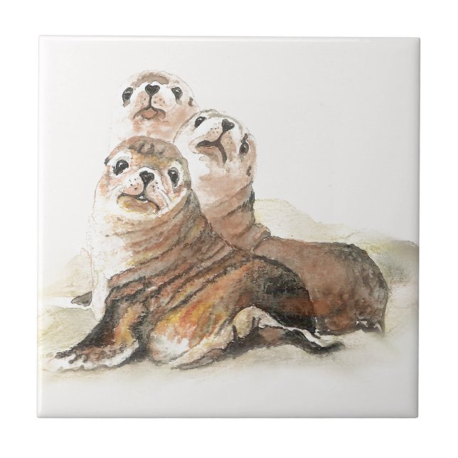 Cute Watercolor Seals Animal Tile (Front)