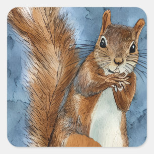 Cute Watercolor Sketched Squirrel Square Sticker