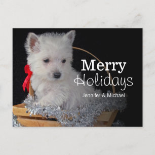 Cute West Highland Terrier in basket Holiday Postcard