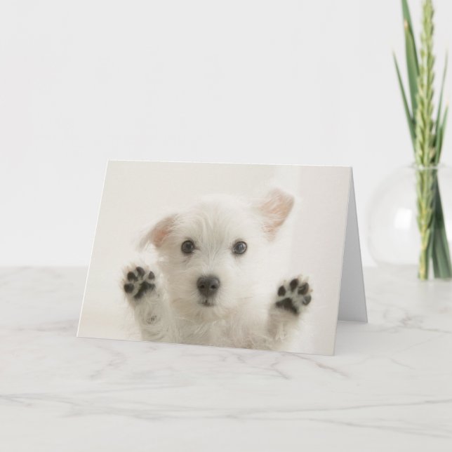 Cute Westie Puppy Card (Front)