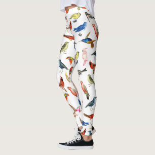 Cute whimsical red blue tropical colourful birds leggings