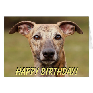 Dog Birthday Cards, Photocards, Invitations & More