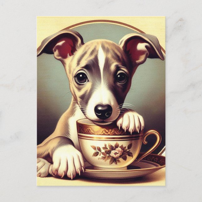Cute Whippet Puppy Postcard (Front)