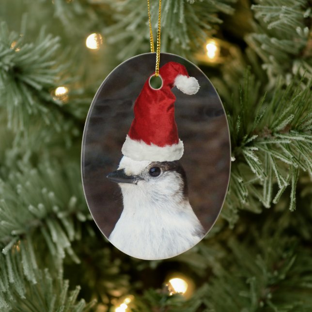 Cute Whiskey Jack Wearing Red Santa Hat Holiday Ceramic Ornament (Tree)